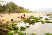 Quyến rũ mùa rêu xanh ở ghềnh đá Nam Ô